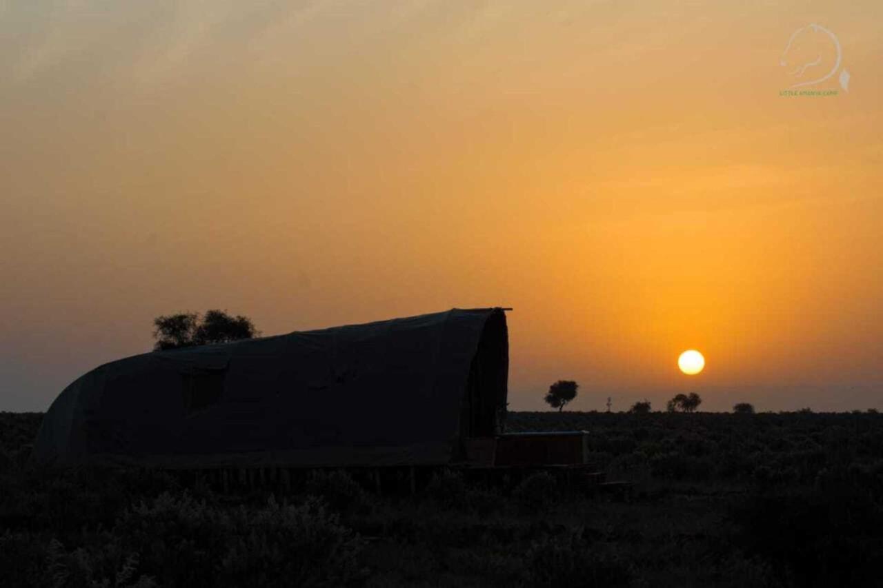 Amanya 1 -Bed King Lion Tent Amboseli Kültér fotó