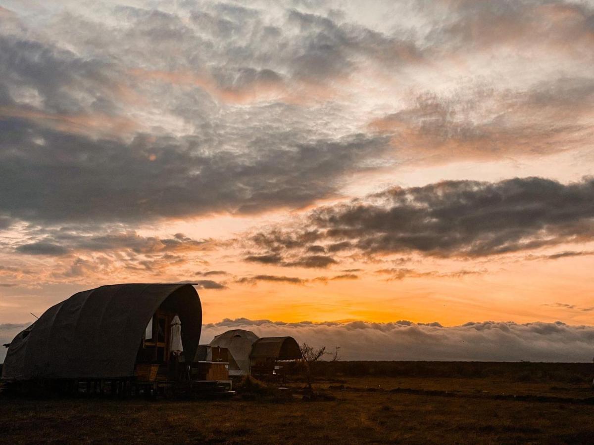Amanya 1 -Bed King Lion Tent Amboseli Kültér fotó